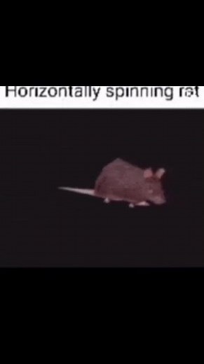 Horizontally Spinning Rat Meme #nfl #funny