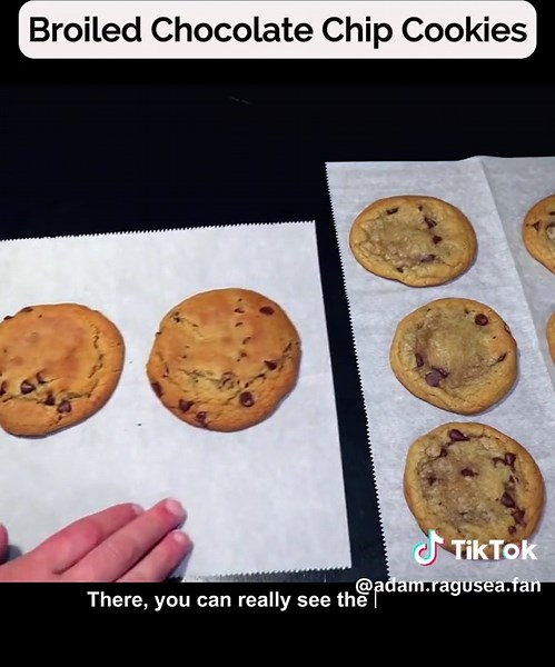 Adam Ragusea Fan on TikTok