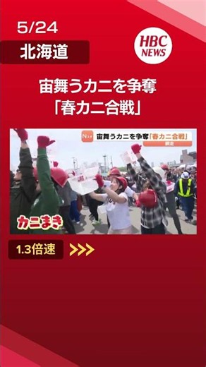 宙を舞うカニを争奪「春カニ合戦」流氷明けのオホーツクで開催 ヘルメット姿でキャッチ「おいしく食べたい」北海道網走市 #網走 #春カニ合戦 #カニ #蟹 #shorts