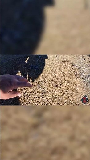 First Ancient Artifact Found in Wyoming Desert!