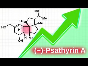 Take Your Organic Synthesis To The Next Level: Total Synthesis Of (−)-Psathyrin A (3D Visualization)