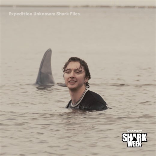 735K views · 13K reactions | Sharks are at the bloody heart of history’s strangest mysteries 麗 Dive into Expedition Unknown: Shark Files when #SharkWeek returns Sunday, July 20 on Discovery. | Shark Week | Facebook