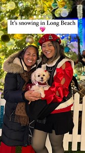 A recap from last night's tree lighting ceremony  the fireworks was...