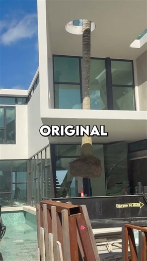 This guy made his IMPOSSIBLE dream possible …