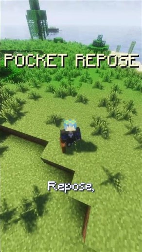 Minute Mod Review: Pocket Repose