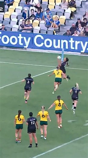 Annessa Biddle Try on Debut
