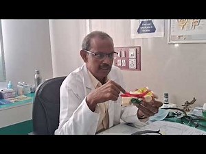 Role of Eustachian tube in middle ear pathology