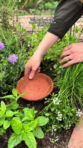 Bee Bath DIY: Quick Weekend Project to Help Garden Wildlife