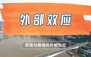 外部效应：宏观与微观的外部效应