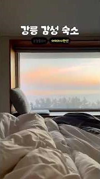 인생샷 남기는 강릉 감성 숙소 2곳 #강릉여행