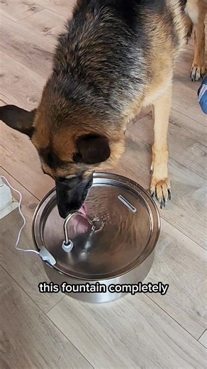 Tried other dog fountains and still dealing with noise, slime, or mess? You’re not alone we tested the most popular ones, and they all had the same problems: 🔊 Too loud 💦 Constant splashing 🦠 Filters that barely work 🤢 Plastic that smells and builds up slime That’s why we built the Selene™ Stainless Steel Fountain to fix everything they got wrong: ✅ Ultra-quiet pump ✅ Medical-grade stainless steel (no slime, no bacteria) ✅ 7-layer active carbon filter (removes fur, food & odor) ✅ Wireless de