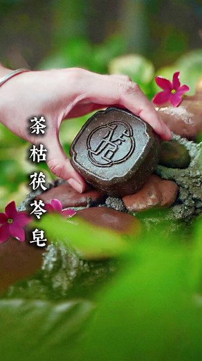 Handmade hair soap with mountain herb energy | Incredible Utilities