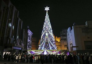 Giant USJ Christmas Tree Lit Up for Final Year; Visitors Cheer for 10-Time World Record-Breaking 30 Meter Tree