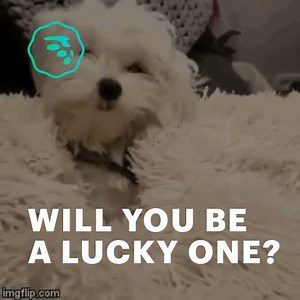 9.4K views · 40 reactions | It's that time again! We're giving away...