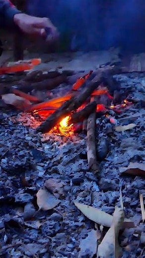 First attempt at home-based, quickest way of testing #bushcraft #survival #primitivetechnology