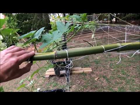 How to Make a Homemade BAMBOO TRELLIS
