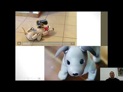 Lecture 2 - HCI - Interactive Systems