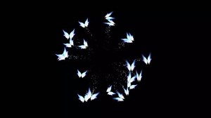 Beautiful butterfly flying effect animation with a black screen, featuring smooth wing motion, elegant flight, and glowing details. Perfect for overlays and VFX