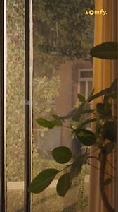 With warm weather on the way, learn how Somfy Smart Shading can help keep your home cooler. Program your blinds to close automatically when it becomes too hot outside. Your home stays cool and your furnishings are protected from direct sunlight too. Read more: https://www.somfy.com.au/discover-somfy/blog/post/home-comfort-zigbee #homecomfort #summer #plantlover #homeautomation #somfy | Somfy