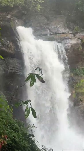 beautiful Waterfalls #shorts895