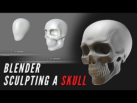 Sculpting a Skull in Blender | Timelapse