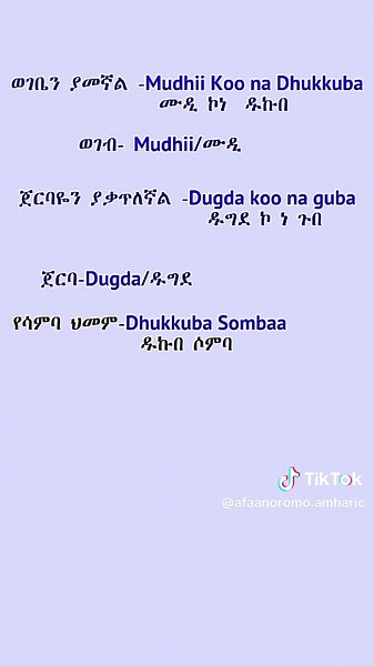 Barnoota Afaan Oromoo fi Amharic: Guutuu Qabiyyee