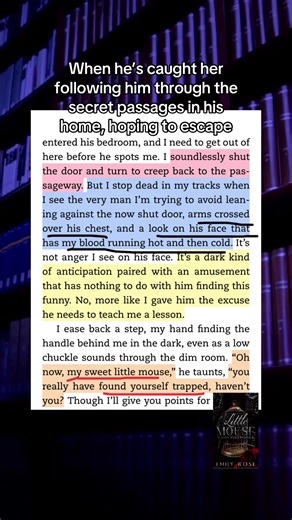 Little Mouse by Emily Rose is a dark mafia romance. First in series, no cheating and no other woman drama. HEA but lots of angst before you get there. If you love: ✅ Possessive MMC with st&lker tendencies ✅ He gives her 2 (yes 2!) libraries ✅Chase scenes You’ll love them! #authoremilyrose #mafiaromance #angst #nocheating #romancebooks