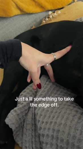 Funny Dog Fart Moments That Will Make You Laugh