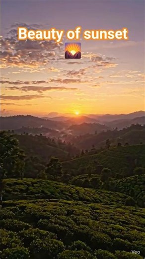 Golden Hour Magic 🌄 | Nature’s Most Peaceful Sunset”#Sunset #NatureBeauty#shortsfeed#hype #shorts