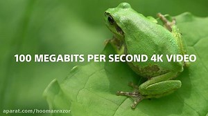 The Sony a7R II: Radically Advanced