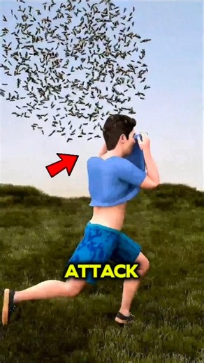 What would you do if bees attack you? 😱🐝