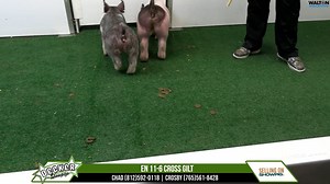 EN 11-6 Decker Jan 25