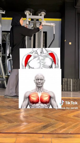 Beginner's Guide to Chest Fly Machine Fitness