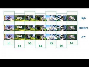 What is DASH? (short version)