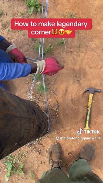 Legendary Corner Fence Design Ideas for Your Farm