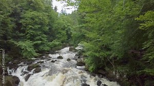 The Black Linn Falls from the shaded river bank in Dunkeld Hermitage and Craigvinean forest in Perthshire
