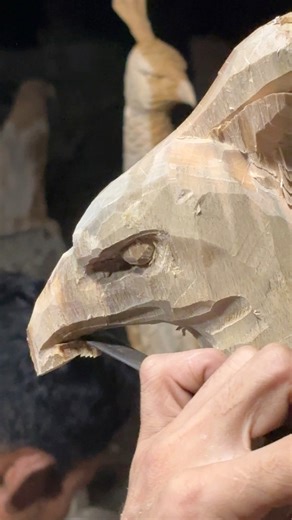 How I make peacock eyes sharp | Bumi Karya Jati