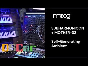 Subharmonic Polyrhythms - Moog Subharmonicon + Mother-32 Self-Generating Ambient