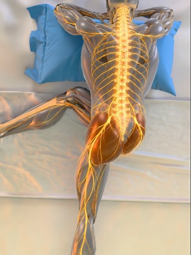 Sciatic Tension Relief: One Simple Stretch for Low Back & Shoulders