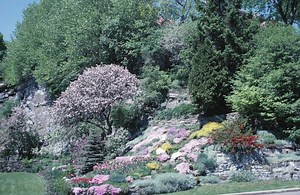 Landscaping Ideas for Embankments