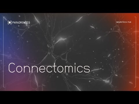 Connectomics: Can the brain be preserved after death?