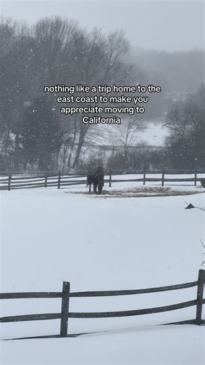 okay the snow is pretty for 3 seconds and then the reality of having to muck the freezing barn out, try and dig out an area for the horses to try and graze, jacket up all the horses, keep them from colicking, picking up the dog’s frozen poop, sinking into the snow and getting icy socks sets in…. #boston #eastcoastlifestyle #winter #horsegirls