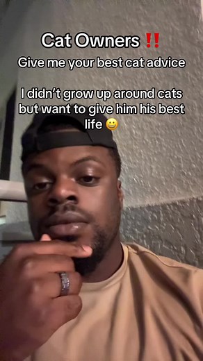 Essential Tips for First-Time Cat Parents