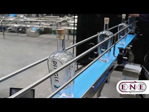 Bottling Conveyor | Stainless Steel Conveyor for Liquid Filling Lines