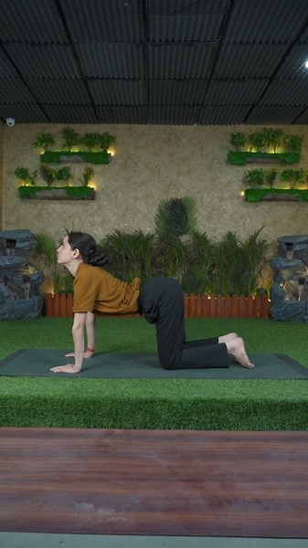 Best Yoga Poses to Improve Body Posture | Daily Yoga Practice | HIIMS
