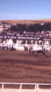 5K views · 369 reactions | Pendleton Round-Up and Happy Canyon Hall of Fame has been digitizing old film  so expect to see some never before seen footage in the coming months! 﫶 Let'er Buck! | Pendleton Round-Up | Facebook