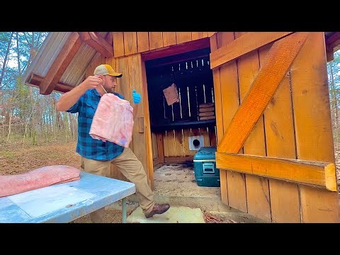 Wild hog BACON! Easy and DELICIOUS!