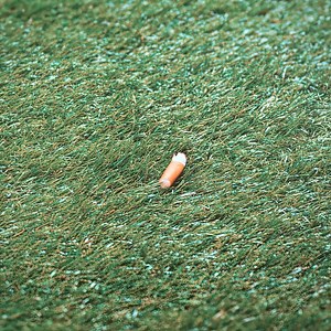 998K views · 7.5K reactions | Tell the story of “Vivarium” from Tom’s perspective #movie #movieclips #actionmovie #filmclips | Estadero Kz Son Palenque | Facebook