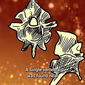 Top 10 Biggest Snakes 🐍 In The World Discovered! | Origins Explained