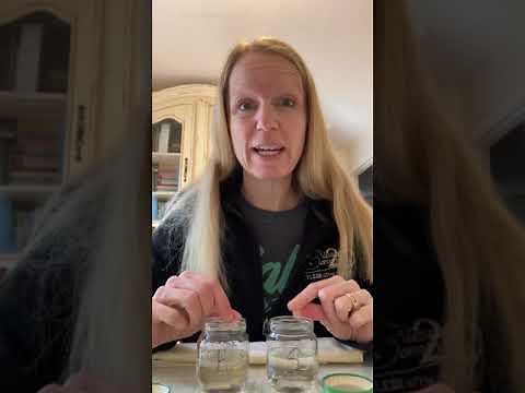 Classical Conversations Cycle 3 Week 18 Science Experiment